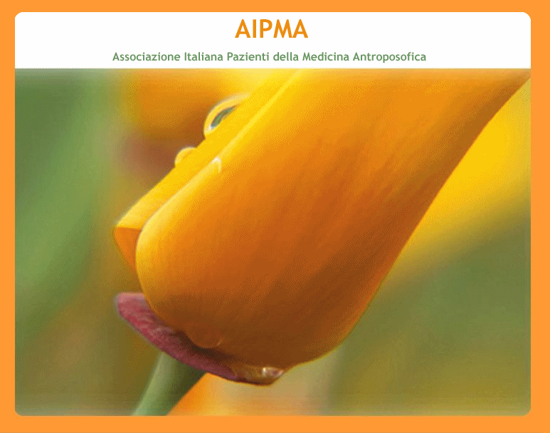 AIPMA